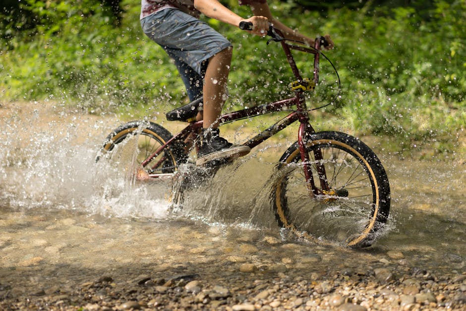 The Best Bicycles for Beginners Based on Fit, Terrain, and Real-World Value The Best Bicycles for Beginners Based on Fit, Terrain, and Real-World Value