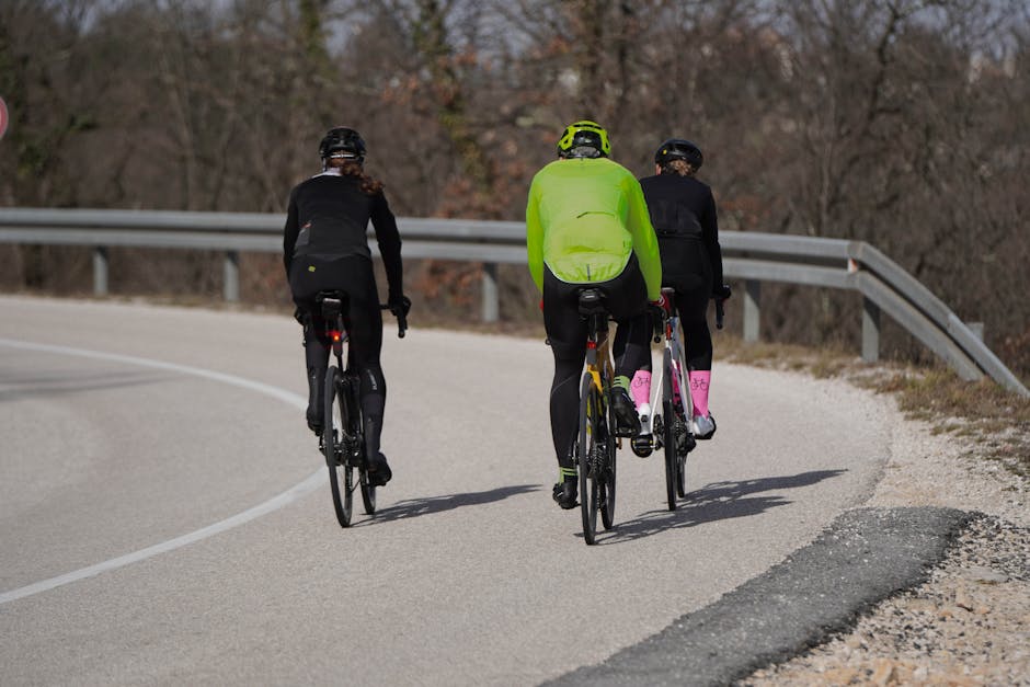 Best Bicycles for Budget-Conscious Cyclists Who Want Comfort, Value, and Reliability with a Focus on Fit for Weekend Rides