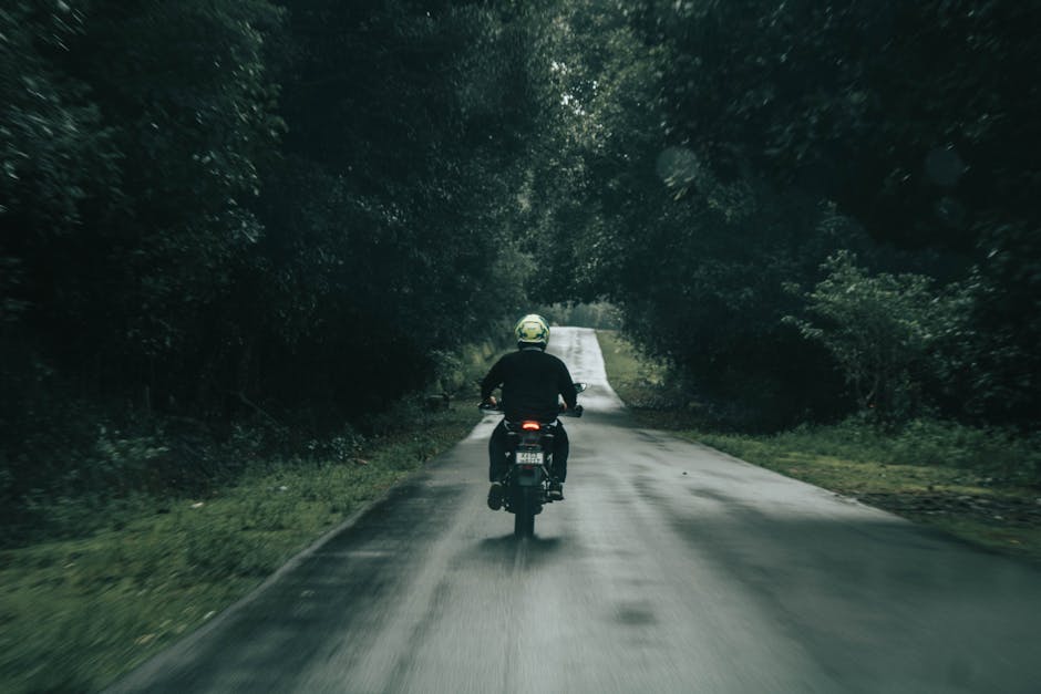 Best Bicycles for First-Time Buyers Who Want Comfort, Value, and Reliability for Weekend Rides Best Bicycles for First-Time Buyers Who Want Comfort, Value, and Reliability for Weekend Rides