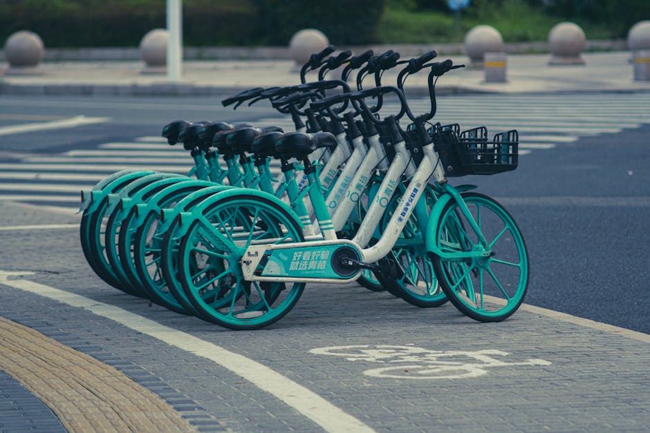 Best Bicycles for Recovery Rides with Features That Justify the Price Best Bicycles for Recovery Rides with Features That Justify the Price
