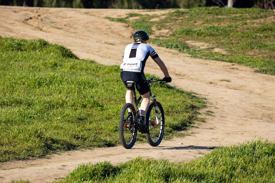 Best Bicycles for Recovery Rides: Features That Justify the Price for Weekend Riders