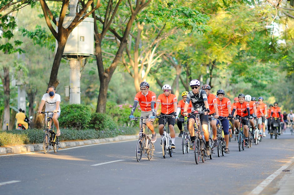 Best Bicycles Worth Buying for Comfortable and Efficient Everyday Cycling with a Focus on Speed for Weekend Rides