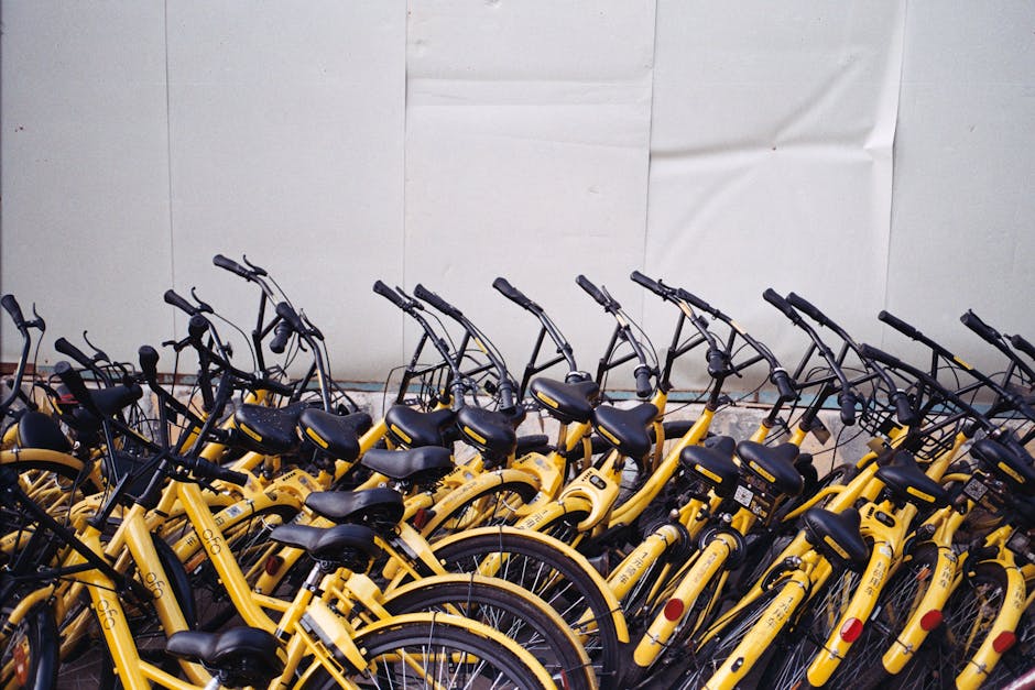 Bicycle Maintenance Basics That Save Money and Improve Ride Quality with a Focus on Visibility for City Streets