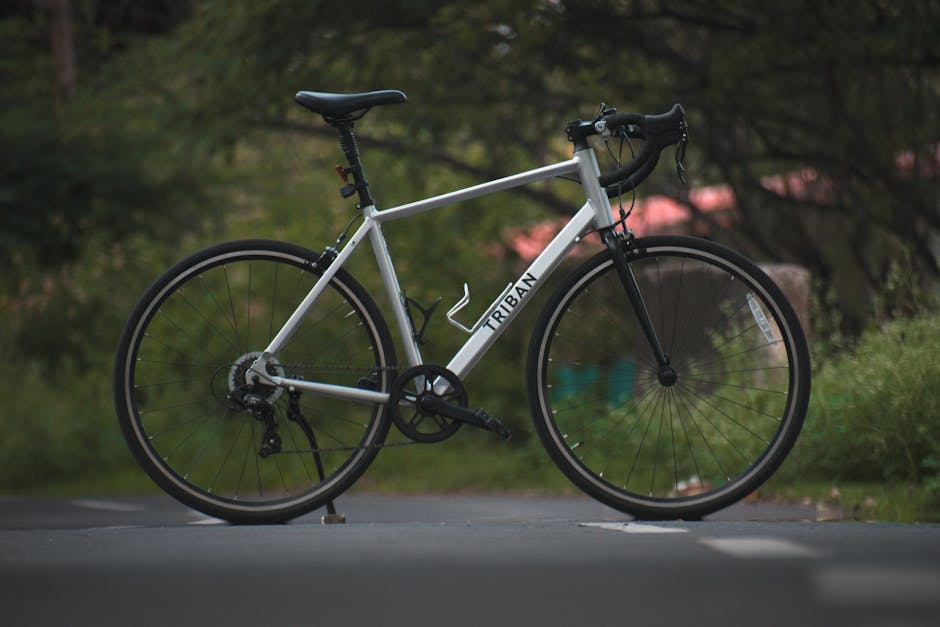 Bicycle Maintenance Basics That Save Money and Improve Ride Quality