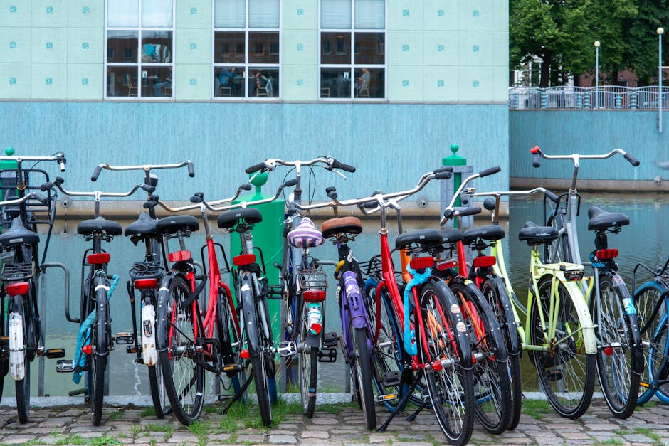 Complete Bicycle Buying Guide for Choosing the Right Electric Bicycle for Budget-Conscious Cyclists with a Focus on Fit for City Streets
