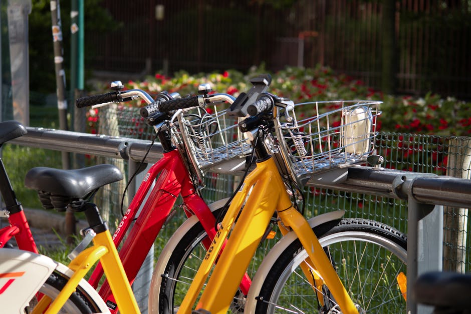 Cycling Tips Every Weekend Riders Should Know Before Riding Longer Distances on City Streets
