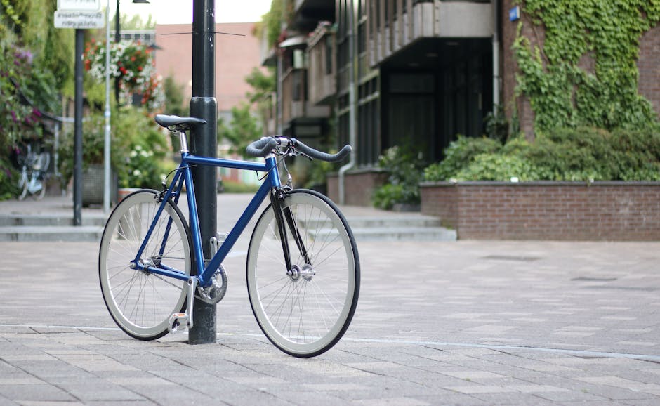 Detailed Bicycle Buying Advice for Riders Comparing Comfort, Fit, and Value with a Focus on Versatility for City Streets Detailed Bicycle Buying Advice for Riders Comparing Comfort, Fit, and Value with a Focus on Versatility for City Streets