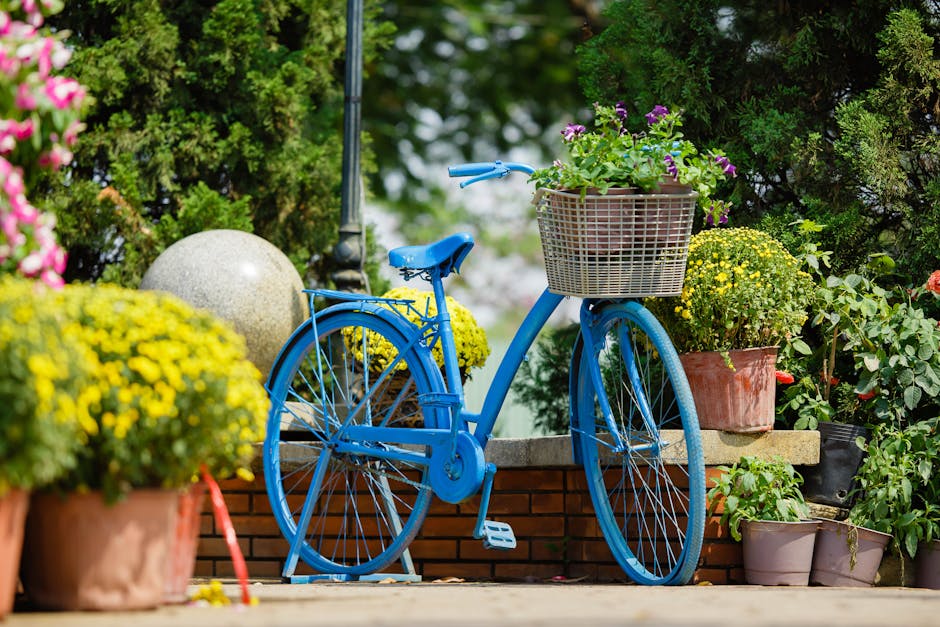 Detailed Bicycle Buying Advice for Riders Comparing Comfort, Fit, and Value with a Focus on Versatility for Weekend Rides