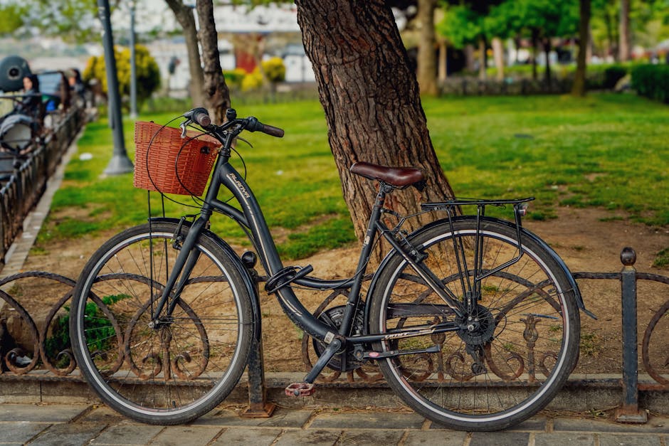 Electric Bicycle Advice for Choosing a Model That Fits Your Daily Routine with a Focus on Handling for Weekend Rides
