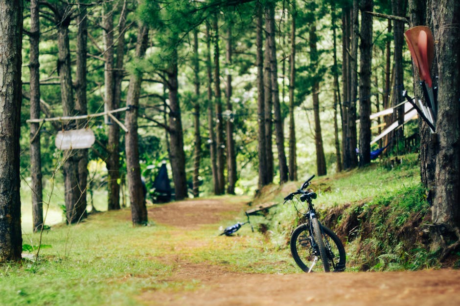 Electric Bicycle Advice for Getting More Value from Battery Life and Range with a Focus on Durability for Weekend Rides