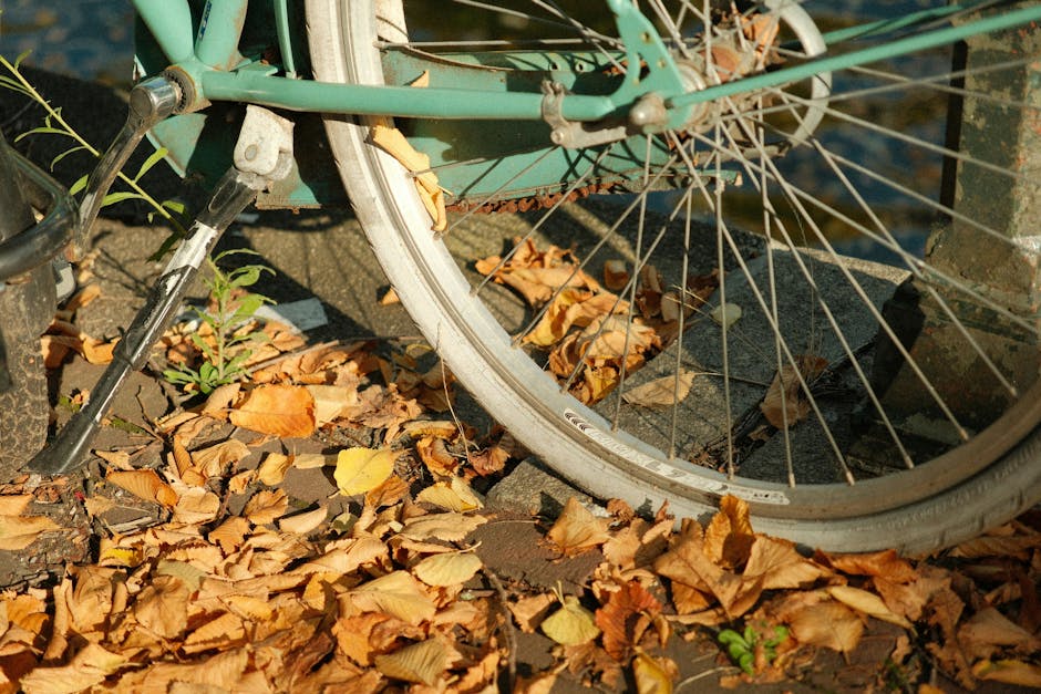 Electric Bicycle Advice for Safer Commuting, Charging, and Storage Habits with a Focus on Speed for City Streets Electric Bicycle Advice for Safer Commuting, Charging, and Storage Habits with a Focus on Speed for City Streets