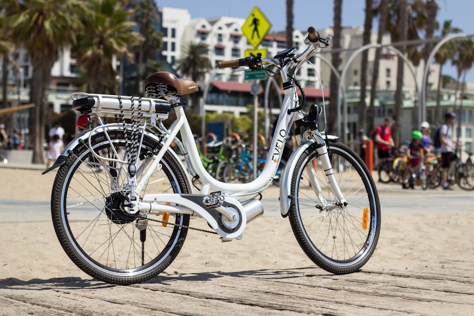 Electric Bicycles Overview for Choosing the Right Type with Confidence