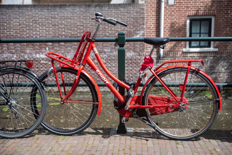 Electric Bicycles Worth Considering for Commuting and Leisure Cycling with a Focus on Traction for City Streets