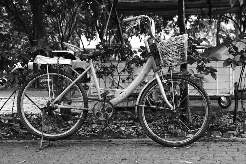How to Maintain a Bicycle and Avoid Expensive Repair Mistakes at Home with a Focus on Traction for City Streets