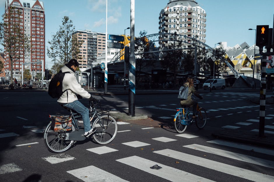 Road Cycling Essentials for Nutrition, Recovery, and Weekly Consistency on City Streets Road Cycling Essentials for Nutrition, Recovery, and Weekly Consistency on City Streets