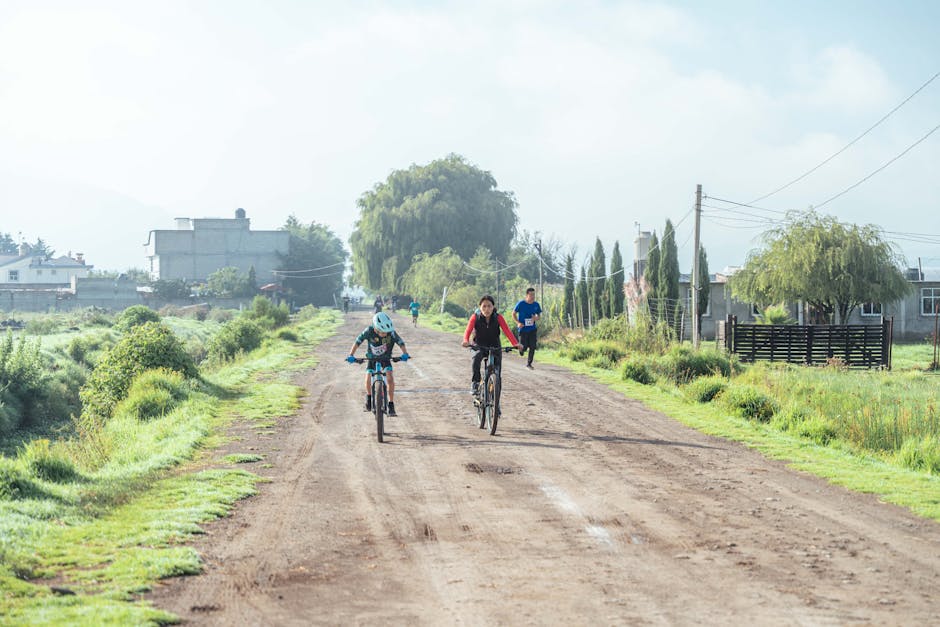 Routine Bicycle Maintenance Plan for Better Safety and Ride Efficiency Routine Bicycle Maintenance Plan for Better Safety and Ride Efficiency