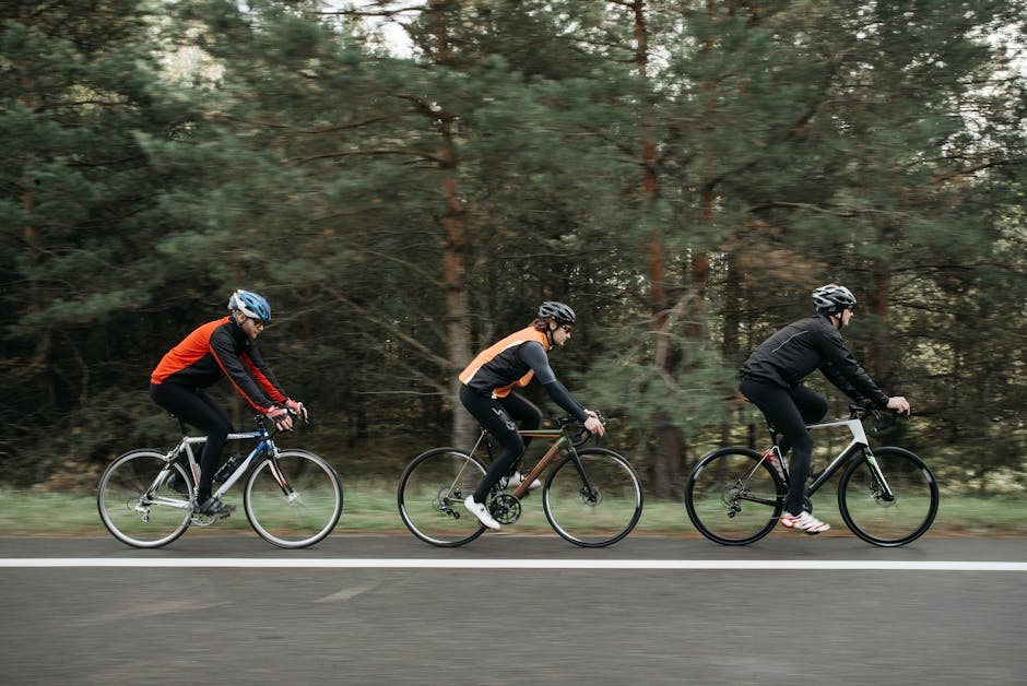 Seasonal Bicycle Maintenance Guide for Year-Round Cycling Performance with a Focus on Control for Weekend Rides