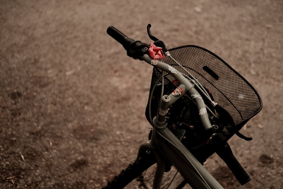 Seasonal Bicycle Maintenance Guide for Year-Round Cycling Performance with a Focus on Storage for City Streets