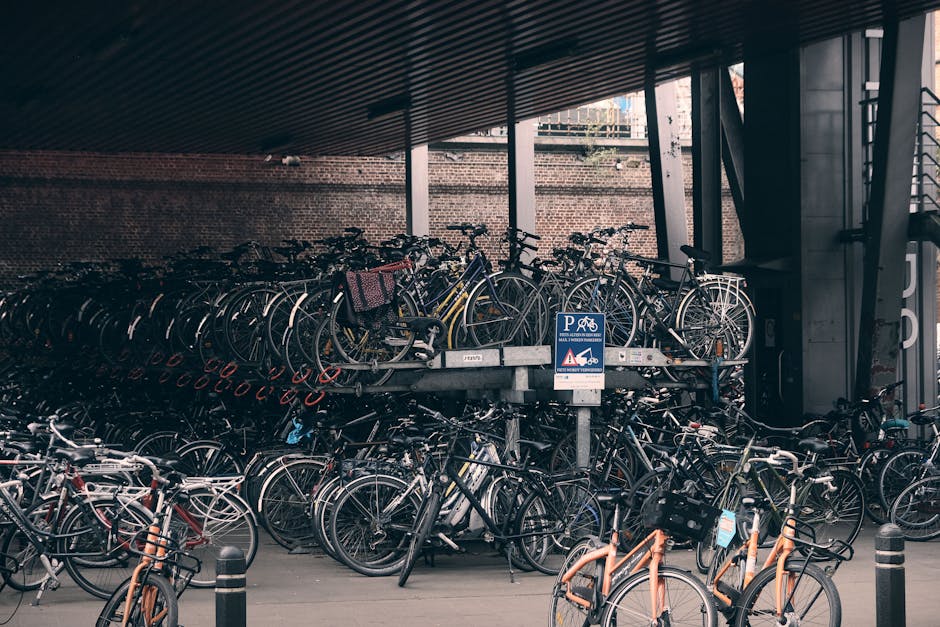 Smart Cycling Tips That Help Students Ride Safer and Feel Stronger with a Focus on Comfort for City Streets
