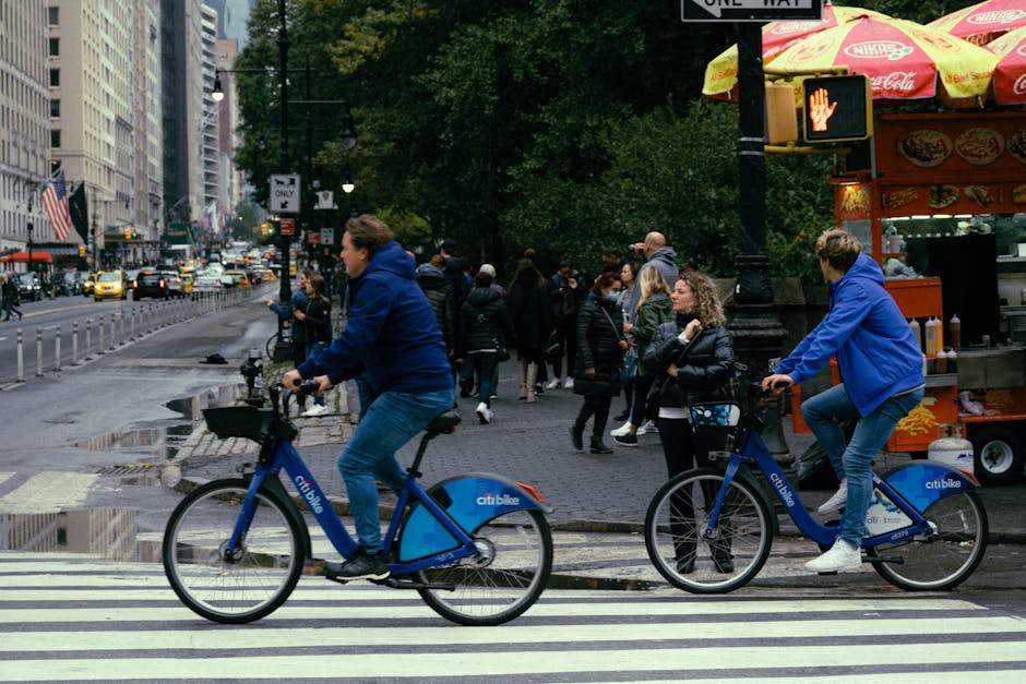 Best Bicycles for Daily Riding, Weekend Fitness, and City Travel