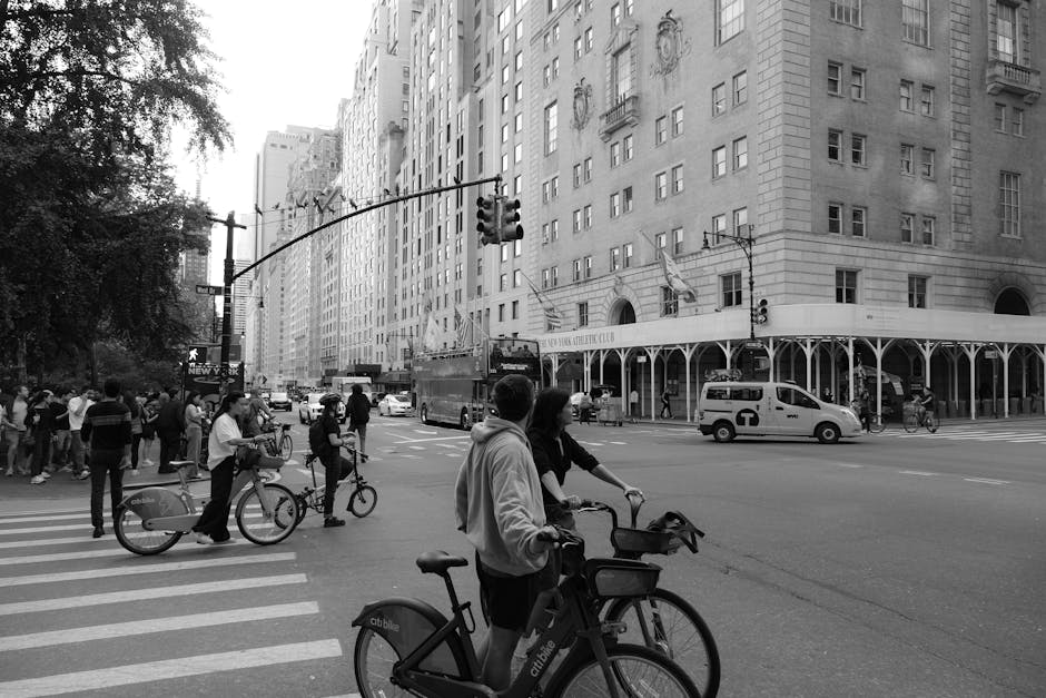 Best Bicycles to Consider for Smoother Commuting, Fitness, and Leisure Riding with a Focus on Comfort for New Cyclists
