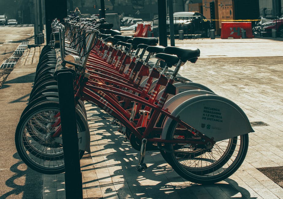 Detailed Bicycle Buying Advice for Riders Comparing Comfort, Fit, and Value with a Focus on Versatility for New Cyclists Detailed Bicycle Buying Advice for Riders Comparing Comfort, Fit, and Value with a Focus on Versatility for New Cyclists