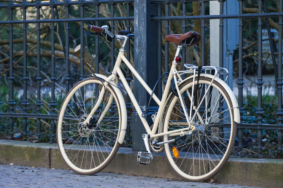 Electric Bicycle Advice for Riders: Choosing Between Commuter and Cargo Bikes with Visibility in Mind