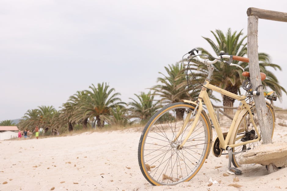 Electric Bicycle Advice That Makes Daily Riding Easier and More Efficient with a Focus on Storage for Weekend Rides Electric Bicycle Advice That Makes Daily Riding Easier and More Efficient with a Focus on Storage for Weekend Rides