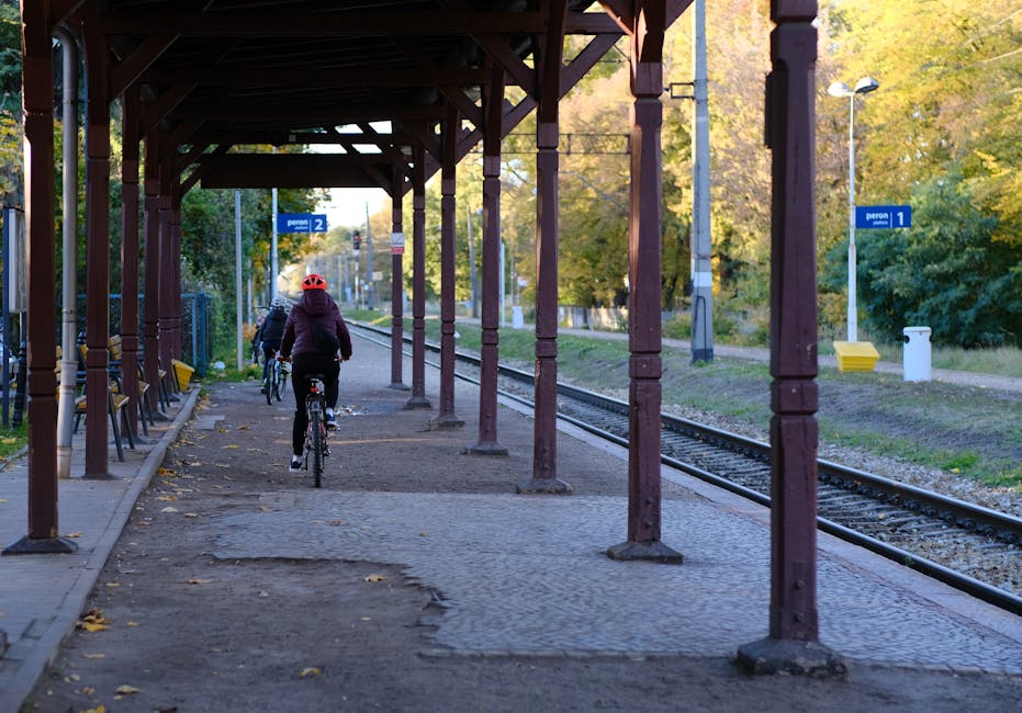 Electric Bicycles Buying Ideas for Families, Commuters, and Fitness Riders with a Focus on Speed for New Cyclists