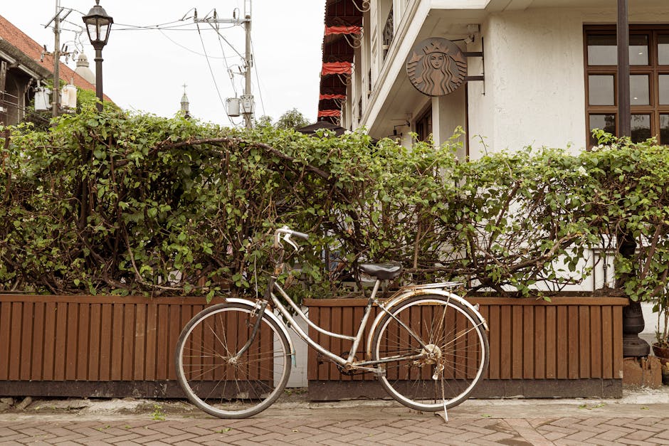 How to Choose the Right Bicycle Wheel Size, Fit, and Setup for City Cyclists Seeking Stability How to Choose the Right Bicycle Wheel Size, Fit, and Setup for City Cyclists Seeking Stability