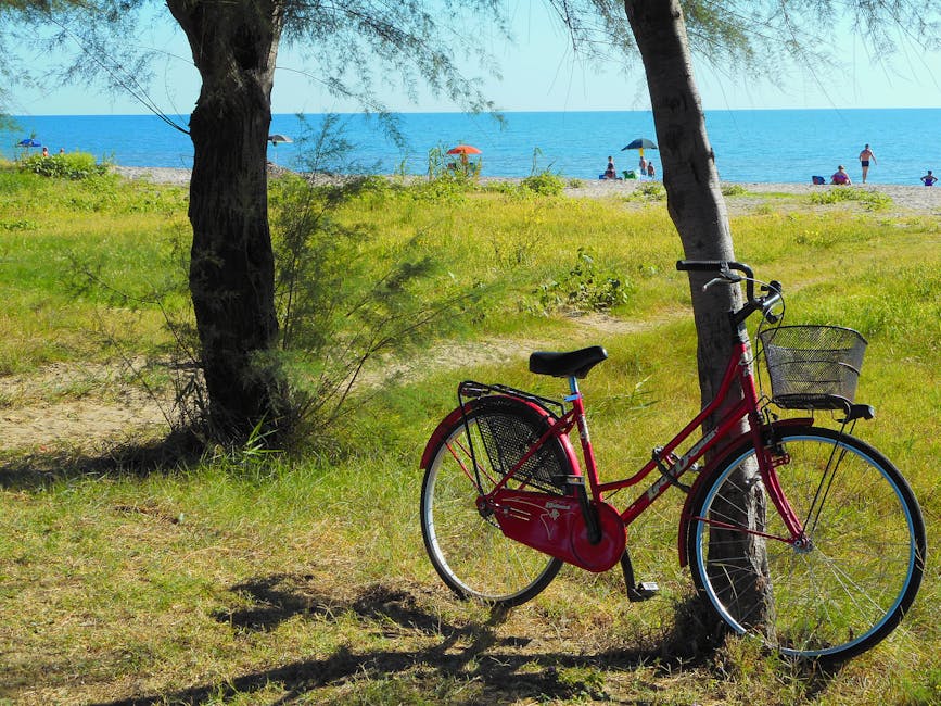 How to Maintain a Bicycle So It Stays Smooth, Quiet, and Reliable with a Focus on Storage for New Cyclists How to Maintain a Bicycle So It Stays Smooth, Quiet, and Reliable with a Focus on Storage for New Cyclists