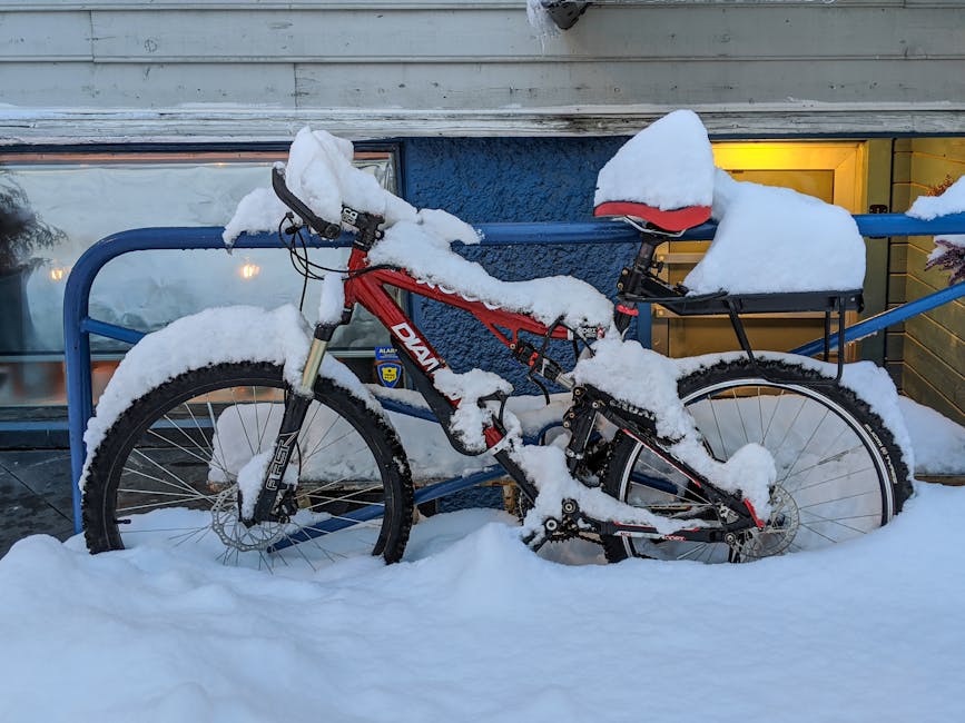 How to Maintain a Bicycle Using Beginner-Friendly Tools and Easy Habits with a Focus on Braking for New Cyclists How to Maintain a Bicycle Using Beginner-Friendly Tools and Easy Habits with a Focus on Braking for New Cyclists