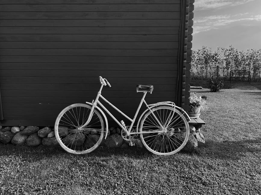 Road Cycling Guide for Choosing Routes, Gear, and Smart Training Goals with a Focus on Versatility for Weekend Rides