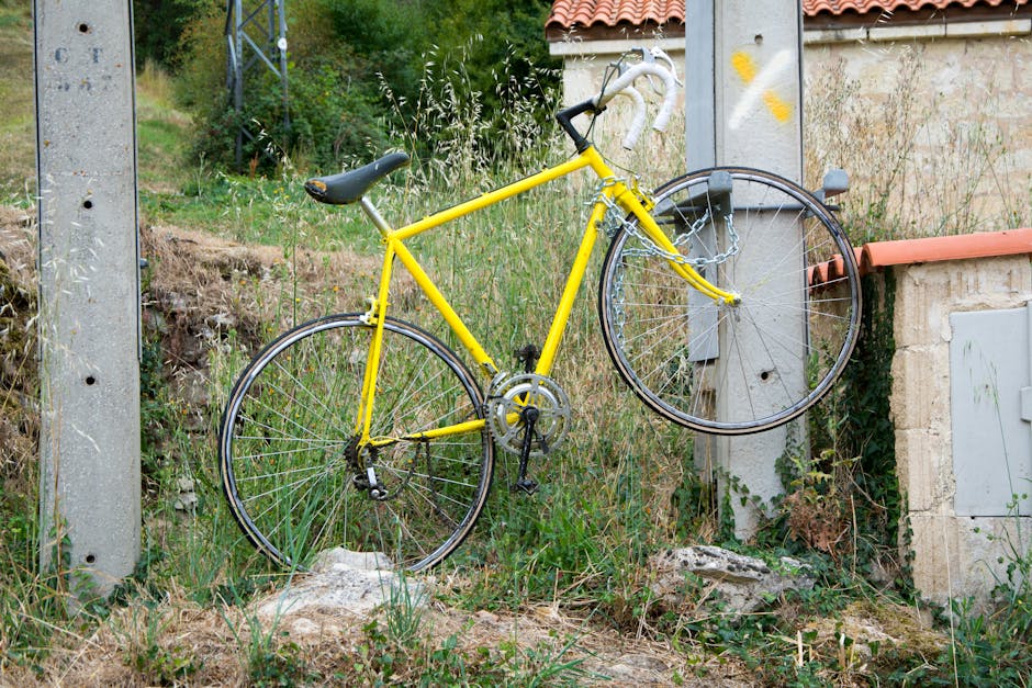 Road Cycling Guide to Choosing the Right Bicycle Setup for Budget-Conscious Cyclists with a Focus on Fit for New Cyclists