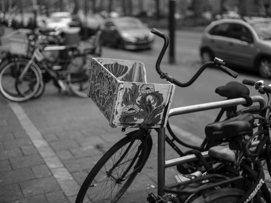 Routine Bicycle Maintenance Plan for Better Safety and Ride Efficiency with a Focus on Range for New Cyclists Routine Bicycle Maintenance Plan for Better Safety and Ride Efficiency with a Focus on Range for New Cyclists
