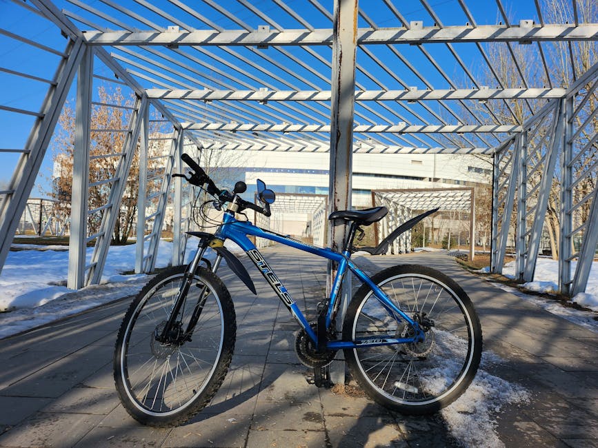 Seasonal Bicycle Maintenance Guide for Year-Round Cycling Performance Seasonal Bicycle Maintenance Guide for Year-Round Cycling Performance