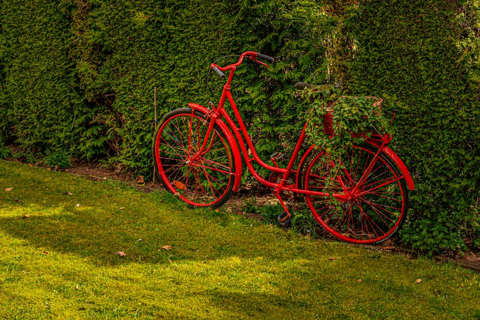 Step-by-Step Bicycle Maintenance Routine for Cleaner and Safer Cycling Step-by-Step Bicycle Maintenance Routine for Cleaner and Safer Cycling